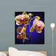 Phalenopsis Orchid with Blue