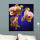 Phalenopsis Orchid with Blue