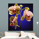Phalenopsis Orchid with Blue
