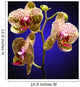 Phalenopsis Orchid with Blue