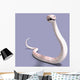 White Ball Python Wall Decal