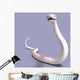 White Ball Python Wall Decal
