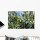 Fruits 033 Wall Decal