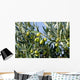Fruits 033 Wall Decal