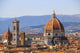 Cathedral Santa Maria Del Wall Decal