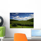 Kiwifruit Orchard Te Puke Wall Decal Design 2