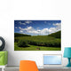 Kiwifruit Orchard Te Puke Wall Decal Design 2
