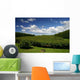 Kiwifruit Orchard Te Puke Wall Decal Design 2