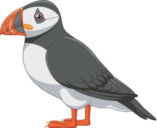 Cartoon Puffin Wall Decal