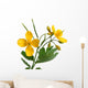 Chelidonium majus with flowers over white Wall Decal