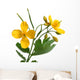 Chelidonium majus with flowers over white Wall Decal