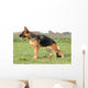 Statique De Berger Allemand Wall Mural