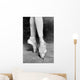 Point Ballet Wall Mural