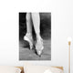 Point Ballet Wall Mural