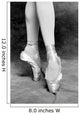 Point Ballet Wall Mural