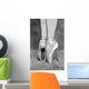 Tips Ballet Wall Mural