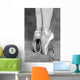 Tips Ballet Wall Mural