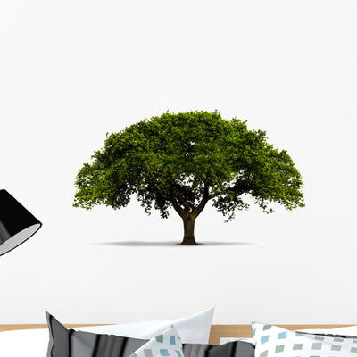 Tree with Green Leaves Wall Decal shown on a wall