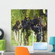 Red Wine Grapes Wall Decal Design 2
