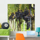 Red Wine Grapes Wall Mural