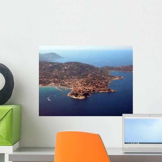 Calvi Wall Decal Design 2