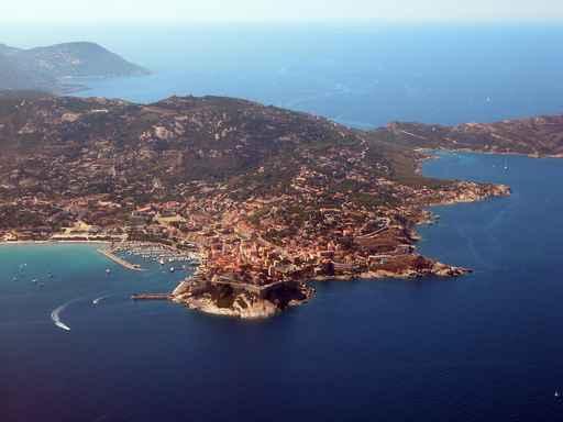 Calvi Wall Decal Design 2