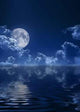Night Full Moon Wall Decal Design 2