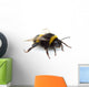 Crawling bumblebee Wall Decal