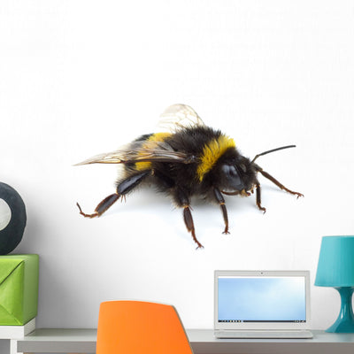 Crawling Bumblebee Wall Decal shown on a wall