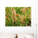 Golden Rice during Autumn Wall Decal Design 2