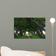 Mauritius Boulevard Tree Wall Mural