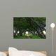 Mauritius Boulevard Tree Wall Mural