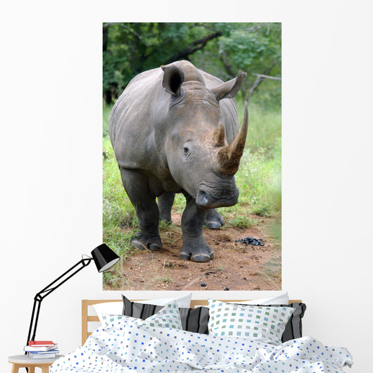 breitmaul-nashorn Wall Mural