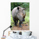 breitmaul-nashorn Wall Mural