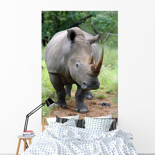 breitmaul-nashorn Wall Mural