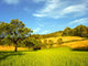 Mountain Landscape Wall Decal Design 2