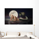 Mermaid with Full Moon