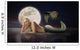 Mermaid with Full Moon