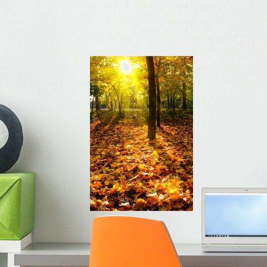 Autumn Leaves Sunlight Wall Decal