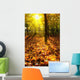 Autumn Leaves Sunlight Wall Decal