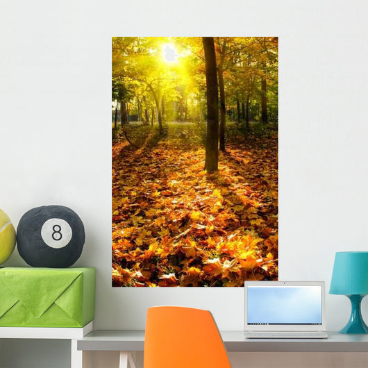 Autumn Leaves Sunlight Wall Decal