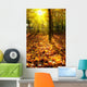 Autumn Leaves Sunlight Wall Decal