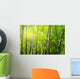 Bamboo Forest With Ray of Lights Wall Mural