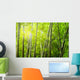 Bamboo Forest With Ray of Lights Wall Mural
