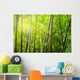 Bamboo Forest With Ray of Lights Wall Mural