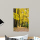 Autumn Colors Park Fall Wall Mural