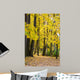 Autumn Colors Park Fall Wall Mural
