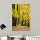 Autumn Colors Park Fall Wall Mural