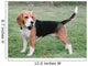 Beagle 1 Wall Mural