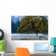 Yosemite Valley 2 Wall Mural